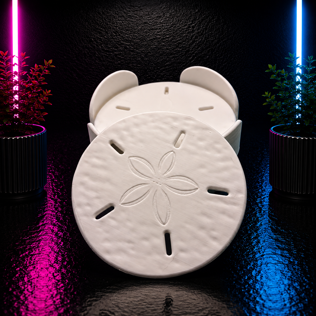 White sand dollar coaster set with matching holder featuring textured beach-inspired designs for coastal home decor.